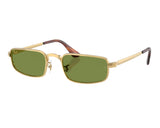 Gafas de sol Ray-Ban ASAP Rocky RB3927