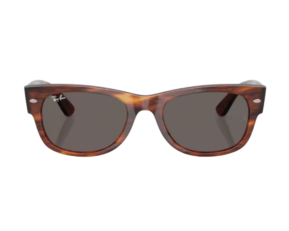 Óculos de sol Ray-Ban Mega wayfarer ii RB0832S