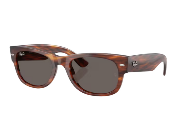 Óculos de sol Ray-Ban Mega wayfarer ii RB0832S