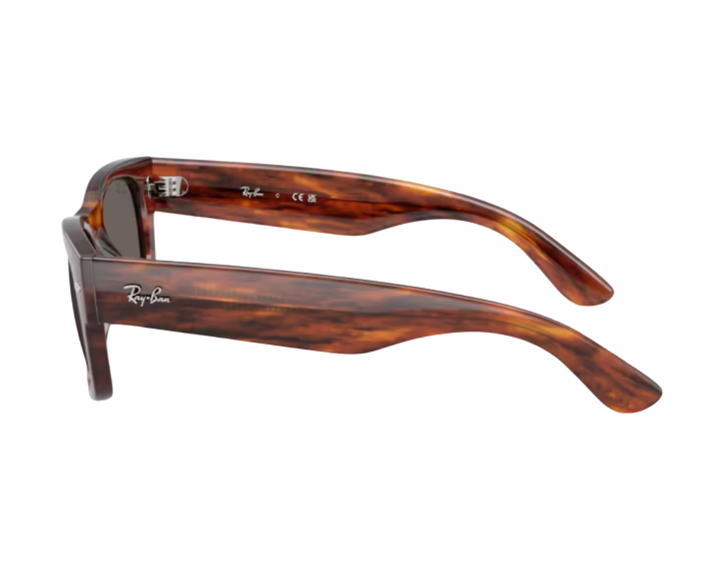 Óculos de sol Ray-Ban Mega wayfarer ii RB0832S