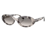 Óculos de sol Ray-Ban RB2223