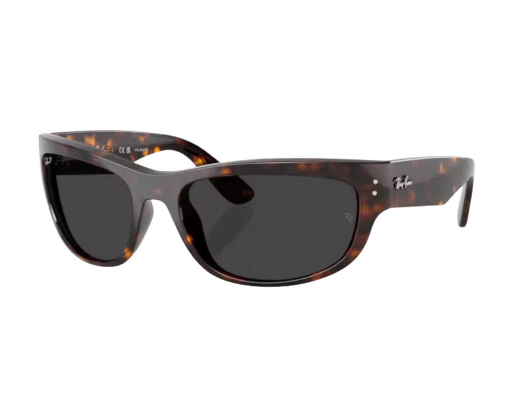 Ray-Ban Mega Balorama RB2289 Sunglasses