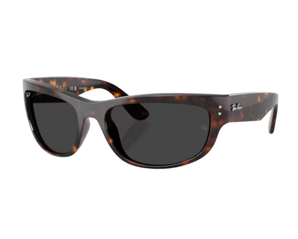 Óculos de sol Ray-Ban Mega balorama RB2289