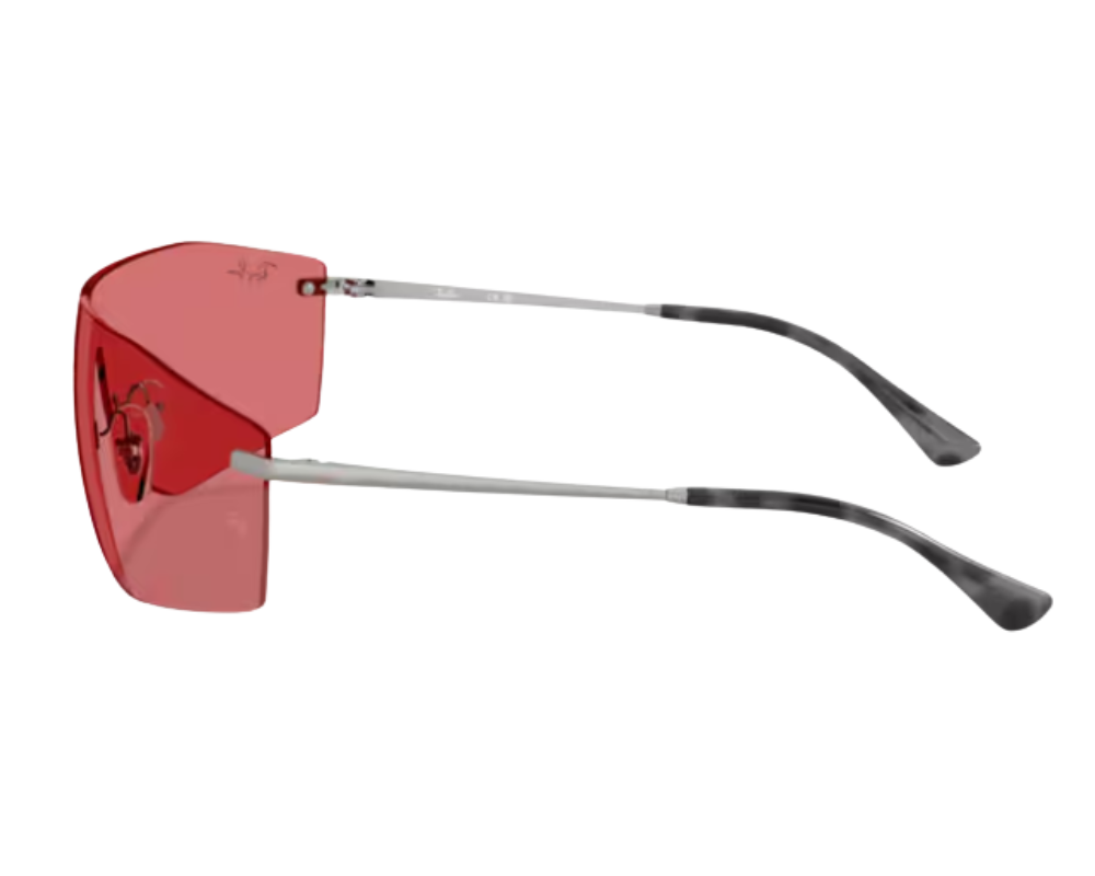 Zonnebrillen Ray-Ban RB3781