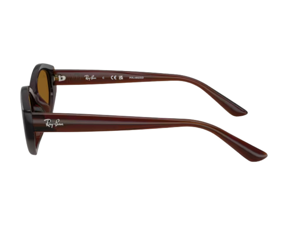 Óculos de sol Ray-Ban RB4473D