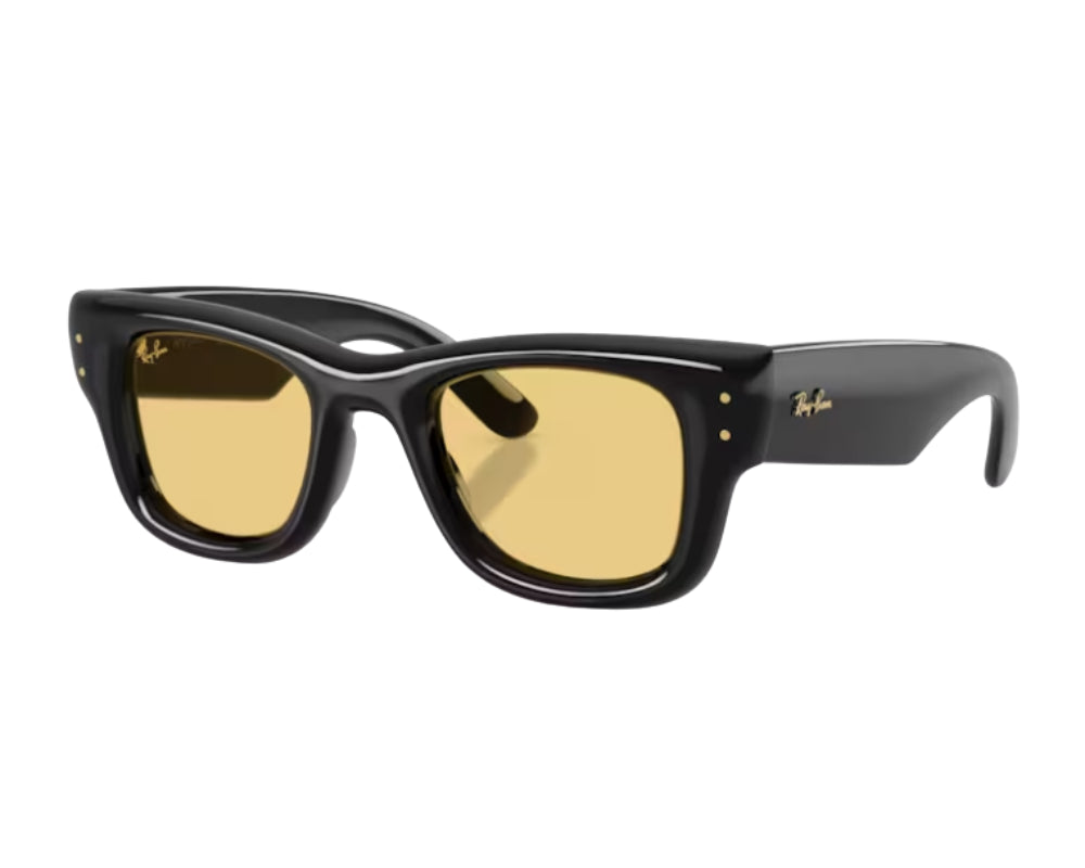 Gafas de sol Ray Ban Wayfarer puffer RB4940