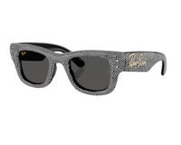 Sonnenbrille Ray-Ban Wayfarer puffer RB4940BP