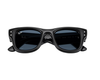Gafas de sol Ray-Ban Wayfarer puffer RB4940B