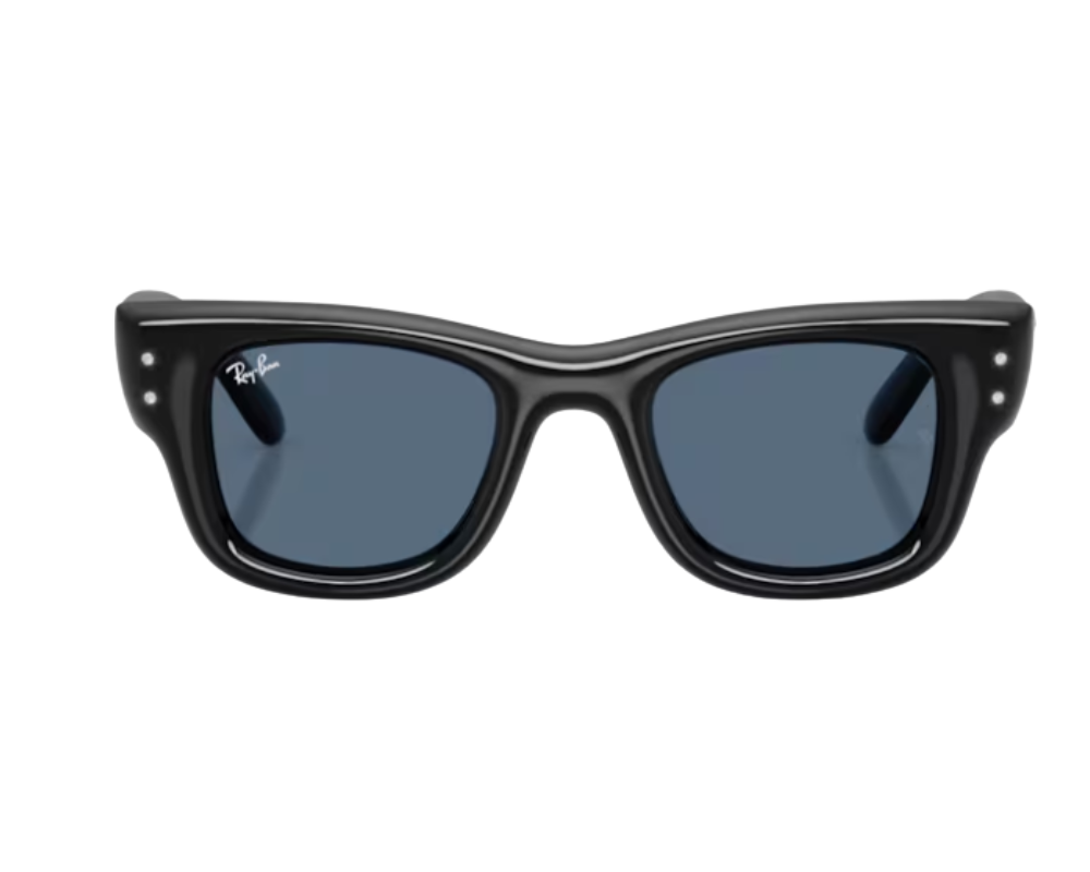 Gafas de sol Ray-Ban Wayfarer puffer RB4940B