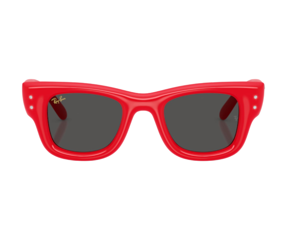 Gafas de sol Ray-Ban Wayfarer puffer RB4940B