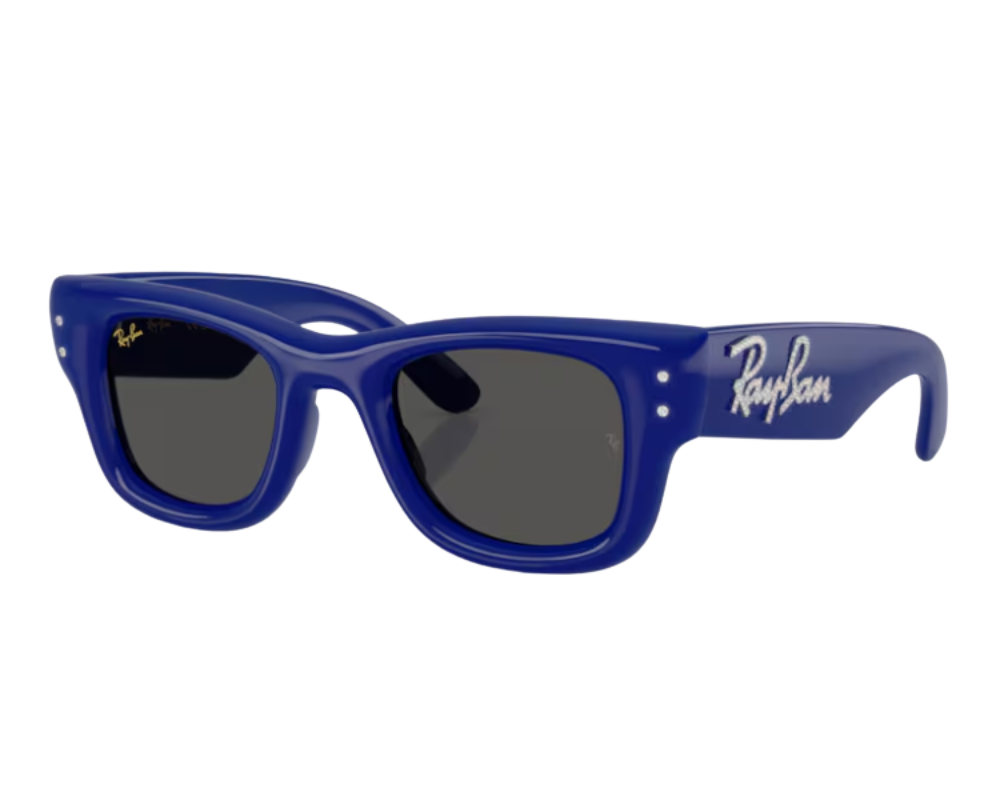 Gafas de sol Ray-Ban Wayfarer puffer RB4940B