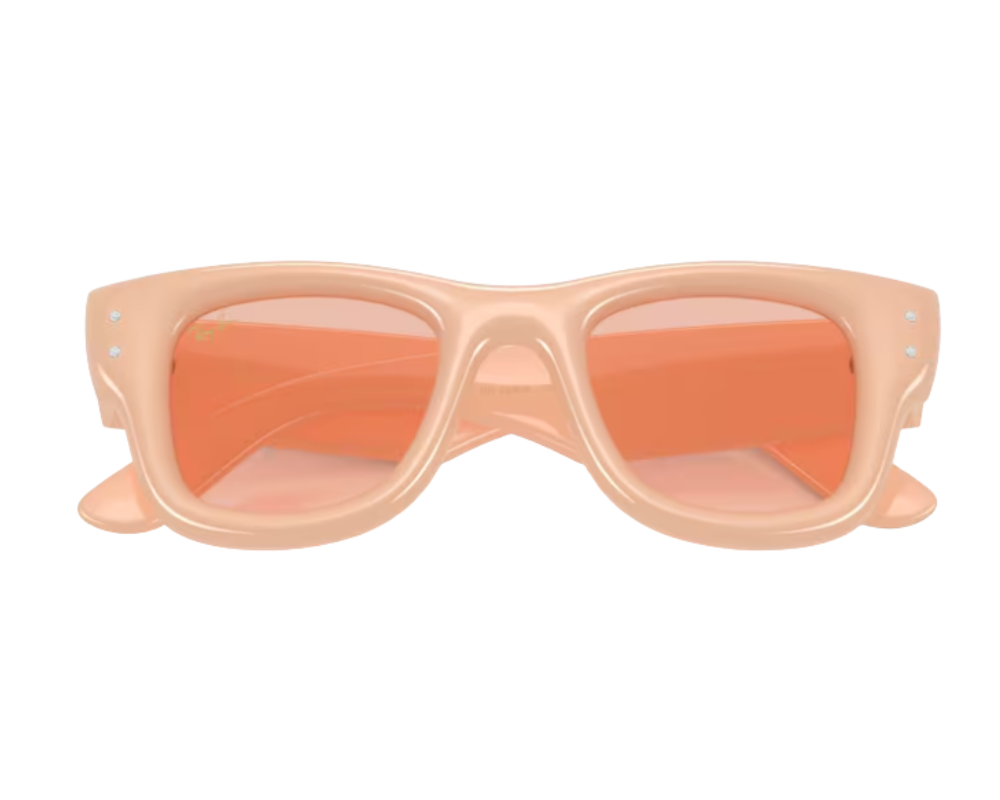 Gafas de sol Ray-Ban Wayfarer puffer RB4940B