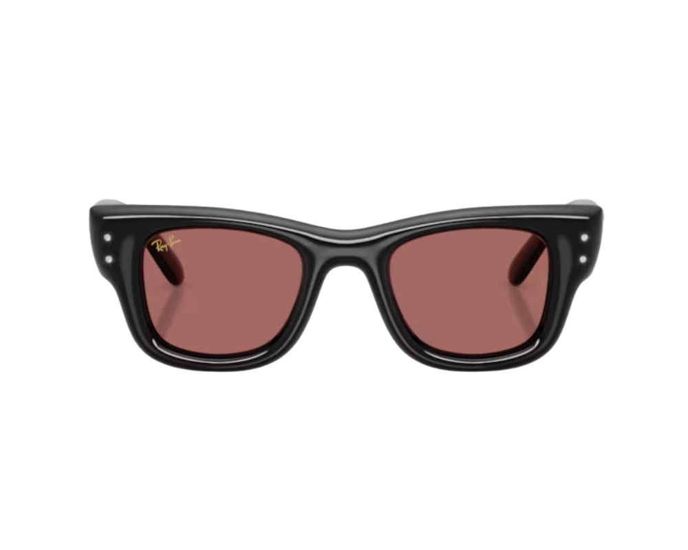 Gafas de sol Ray-Ban Wayfarer puffer RB4940B