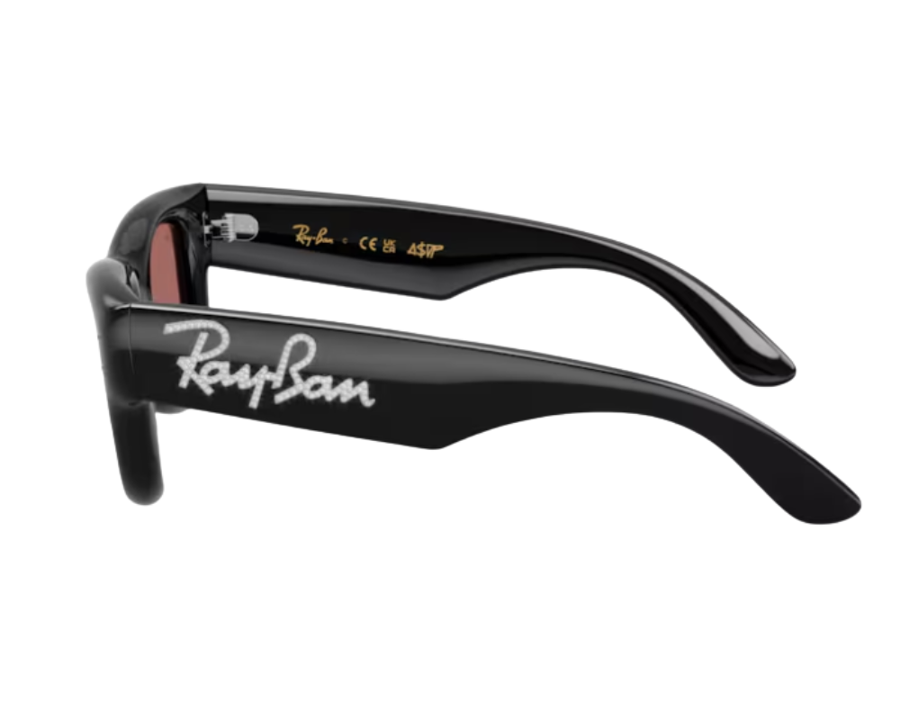 Gafas de sol Ray-Ban Wayfarer puffer RB4940B