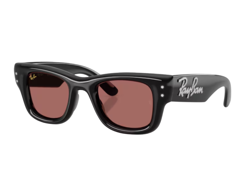 Gafas de sol Ray-Ban Wayfarer puffer RB4940B