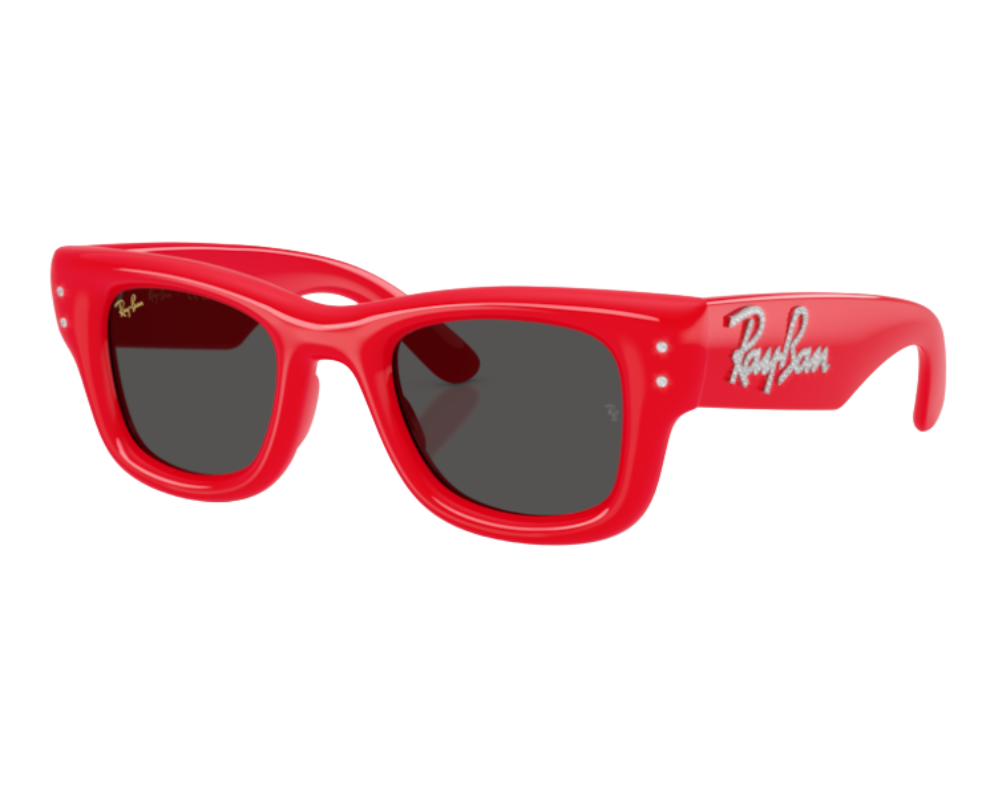 Gafas de sol Ray-Ban Wayfarer puffer RB4940B