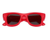 Gafas de sol Ray-Ban Wayfarer puffer RB4940B