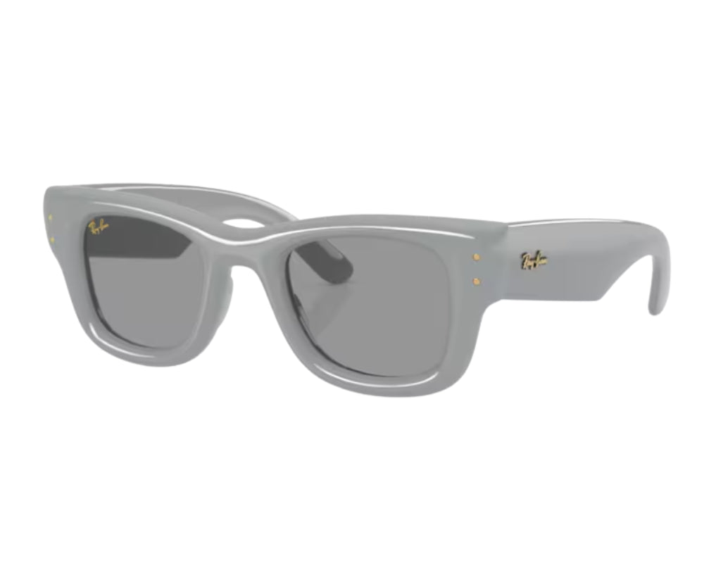 Gafas de sol Ray Ban Wayfarer puffer RB4940