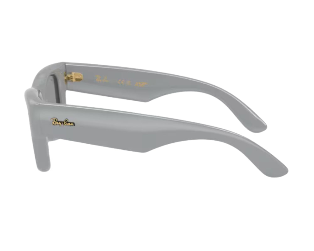Gafas de sol Ray Ban Wayfarer puffer RB4940