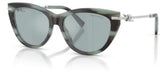 Gafas de sol Tiffany & Co TF4253