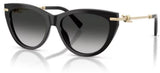Gafas de sol Tiffany & Co TF4253