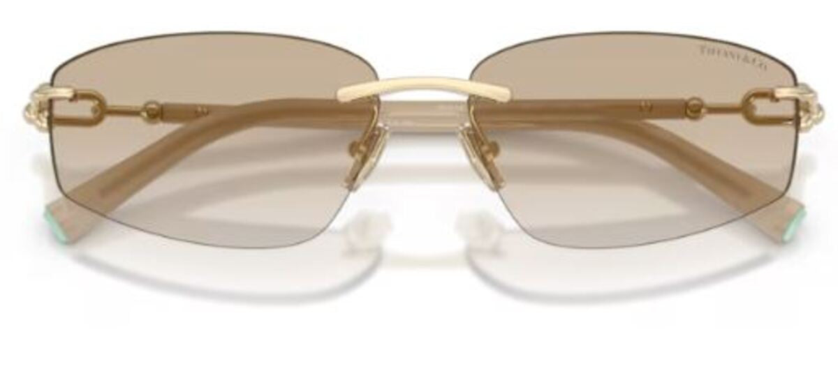 Gafas de sol Tiffany & Co TF3114