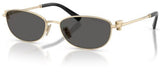 Gafas de sol Tiffany & Co TF3115