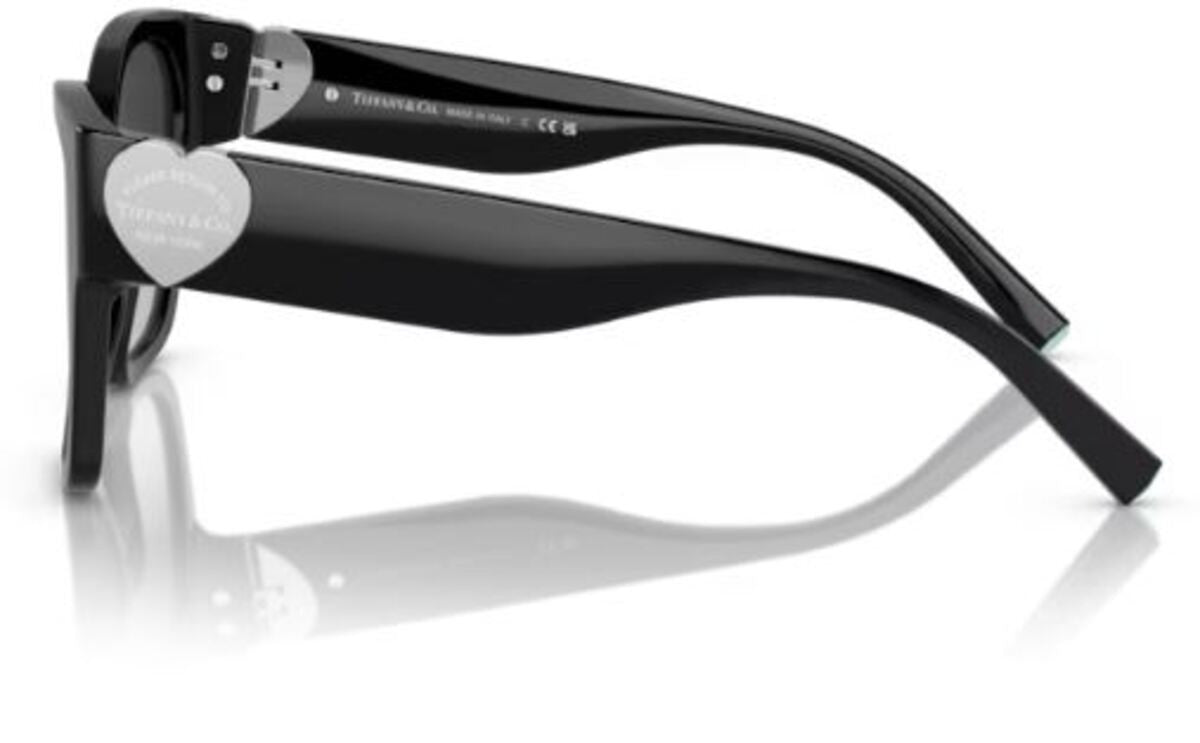 Gafas de Sol Tiffany & Co TF4216