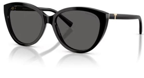 Sonnenbrillen Tiffany & Co TF4251