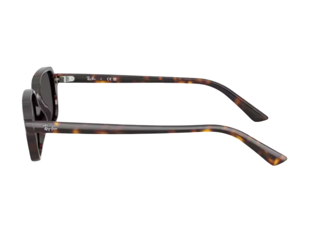 Óculos de sol Ray-Ban Zuri RB4455