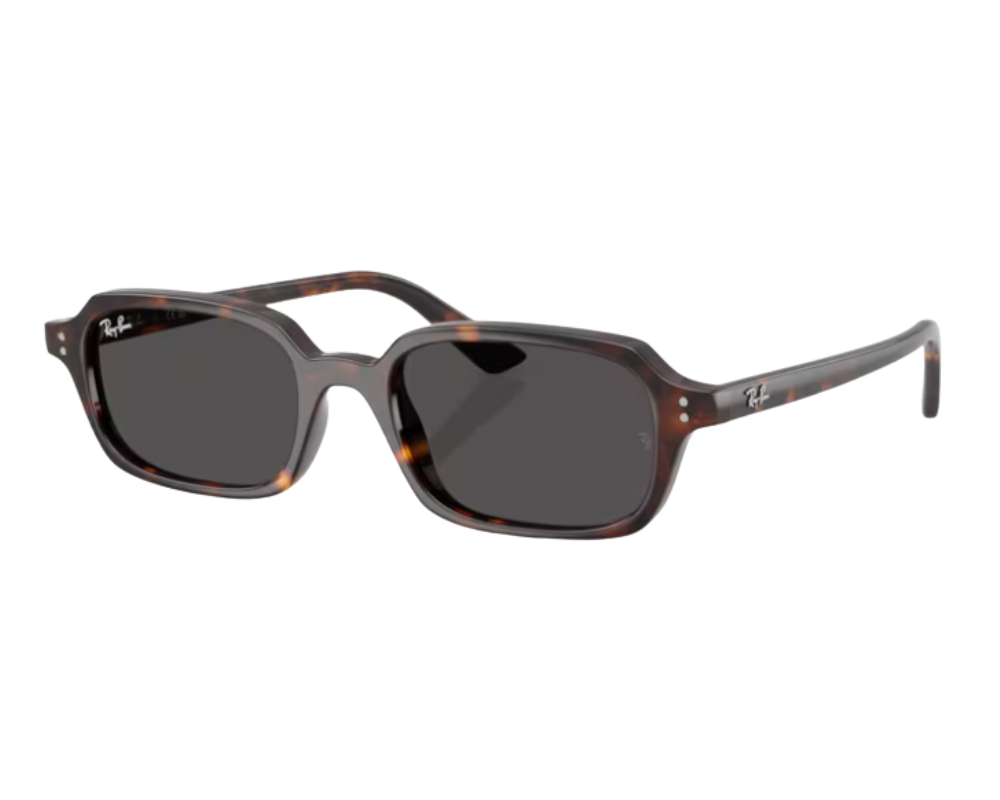 Óculos de sol Ray-Ban Zuri RB4455