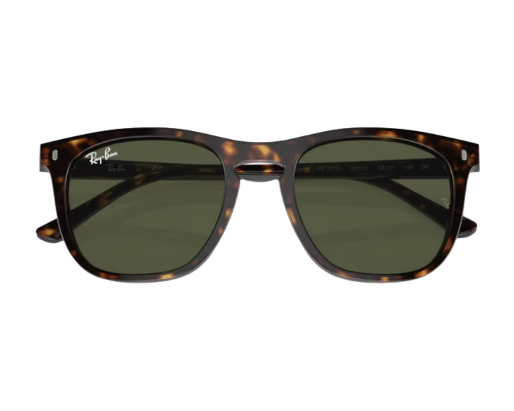 Óculos de sol Ray-Ban RB2210