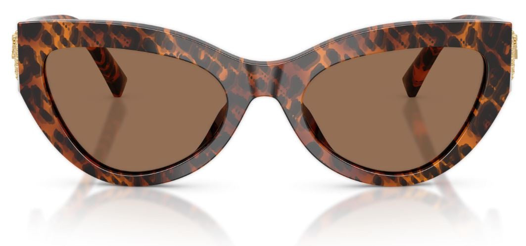 Óculos de Sol Dolce & Gabbana DG4536