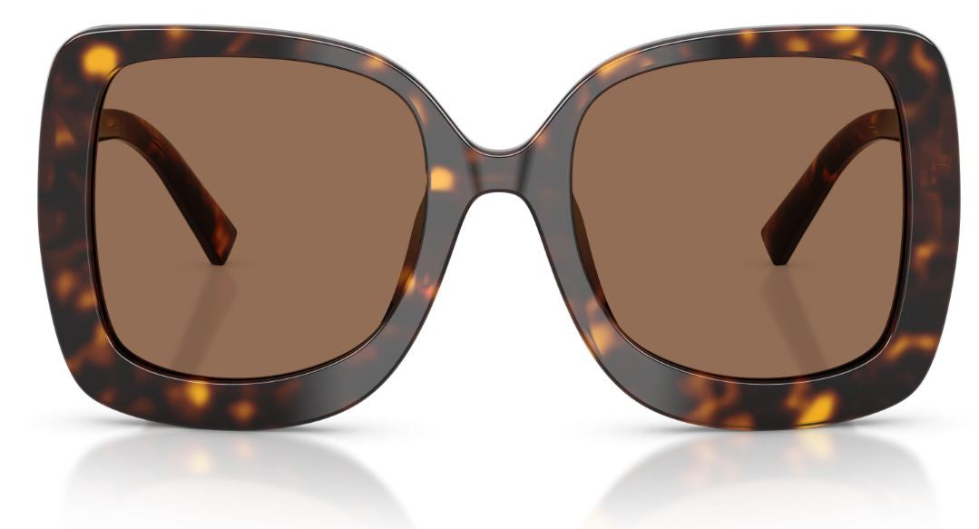Gafas de Sol Dolce & Gabbana DG4513
