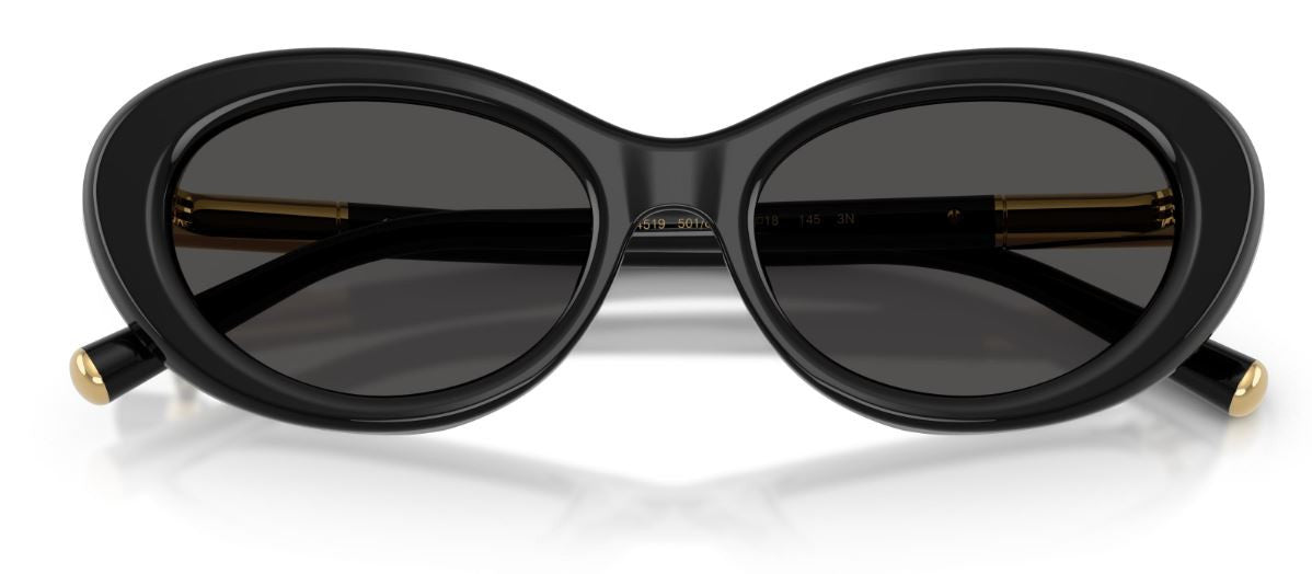Óculos de Sol Dolce & Gabbana DG4519