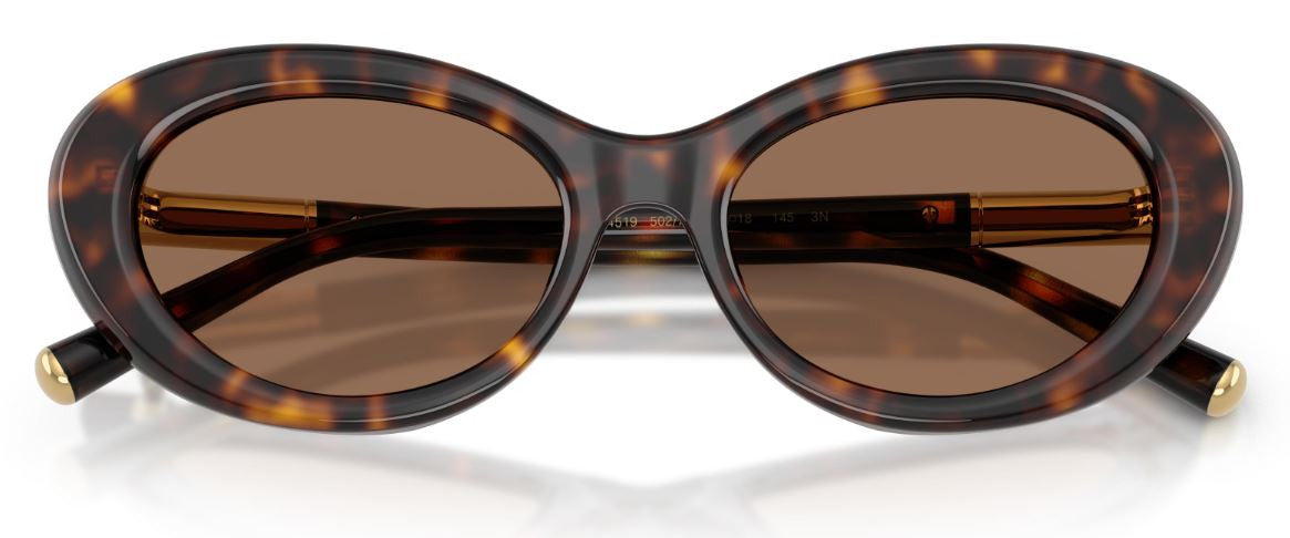 Óculos de Sol Dolce & Gabbana DG4519