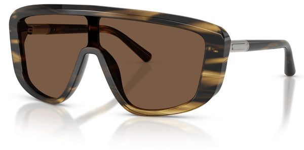 Gafas de Sol Dolce & Gabbana DG4520