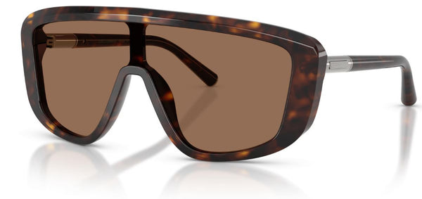 Gafas de Sol Dolce & Gabbana DG4520