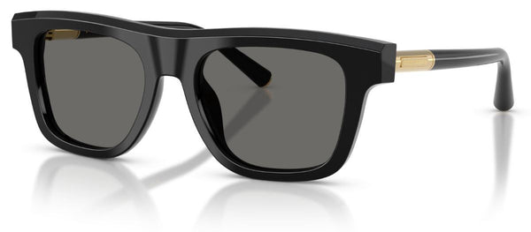 Lunettes de Soleil Dolce & Gabbana DG4521