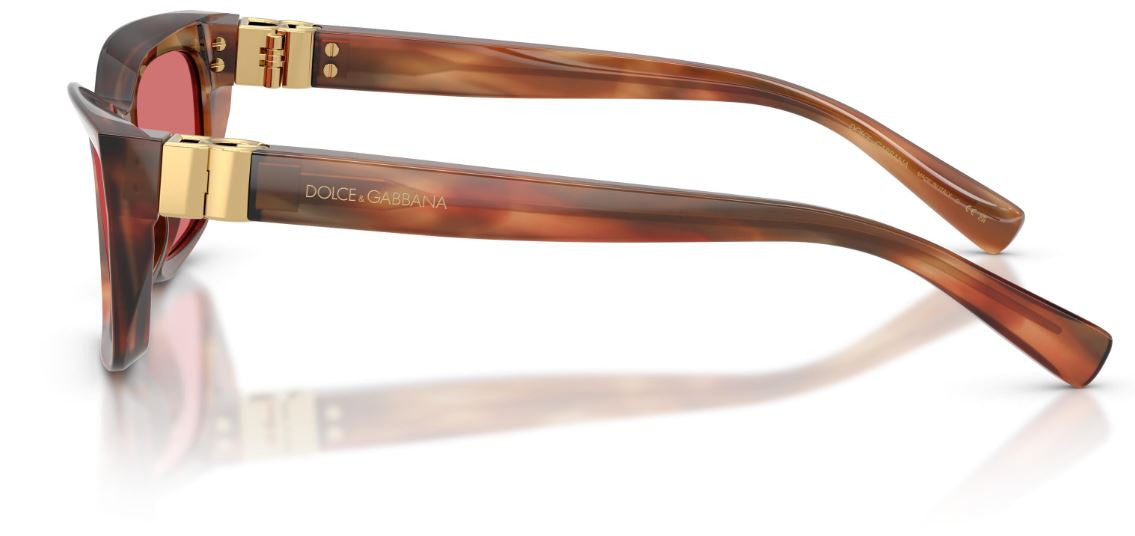Gafas de sol Dolce & Gabbana DG4532