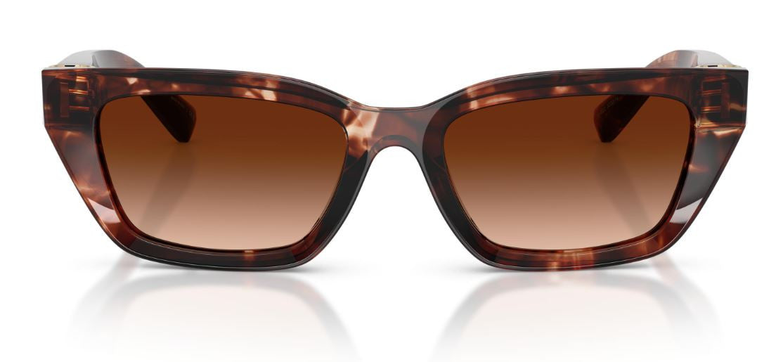 Gafas de sol Dolce & Gabbana DG4532