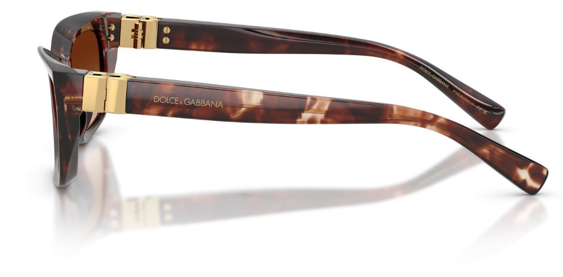 Gafas de sol Dolce & Gabbana DG4532