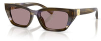 Gafas de sol Dolce & Gabbana DG4532