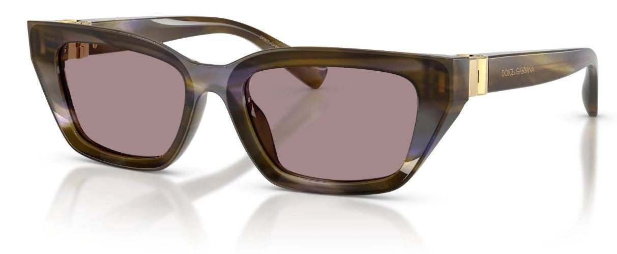 Gafas de sol Dolce & Gabbana DG4532