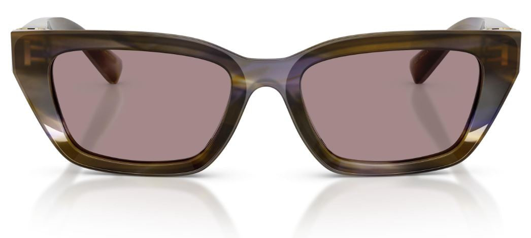 Gafas de sol Dolce & Gabbana DG4532