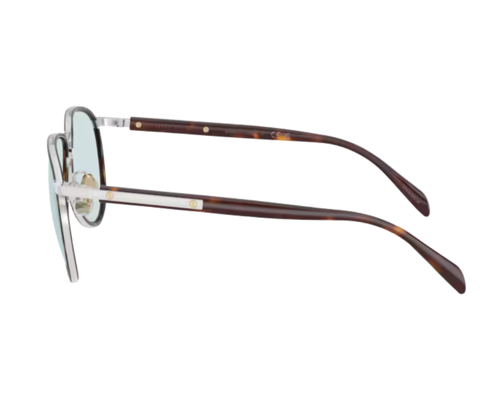 Brunello Cucinelli BC2021ST Sunglasses