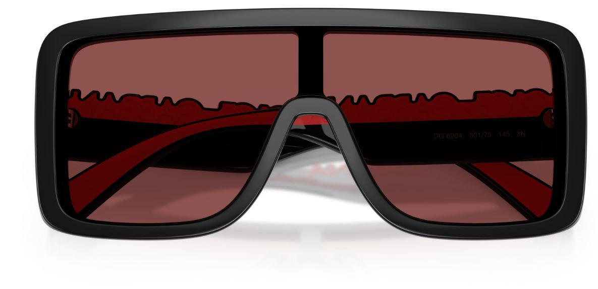 Sonnenbrille Dolce & Gabbana DG6204