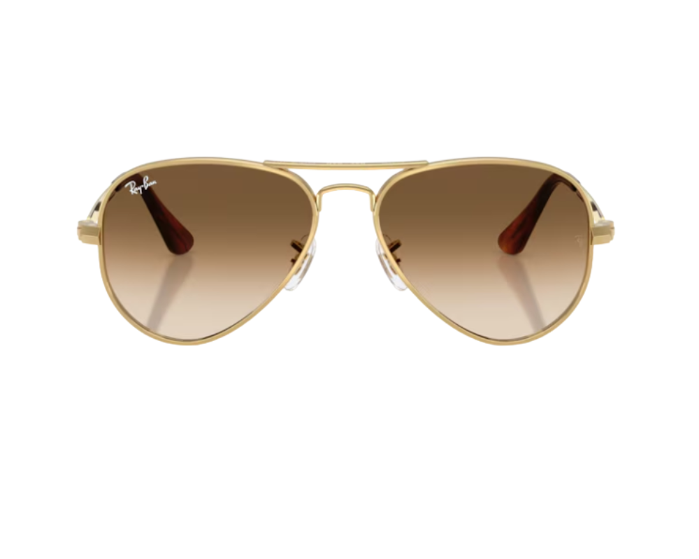 Óculos de Sol Ray-Ban Aviator Max RB3925