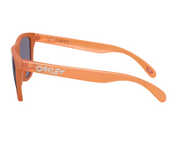 Oakley OO9013太陽眼鏡