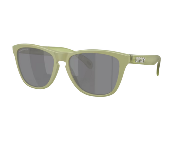 Occhiali da sole Oakley OO9013